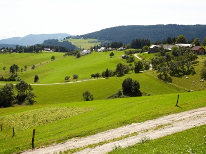 Turistični ponudniki v Destinaciji Rogla Pohorje – raziskava 2019