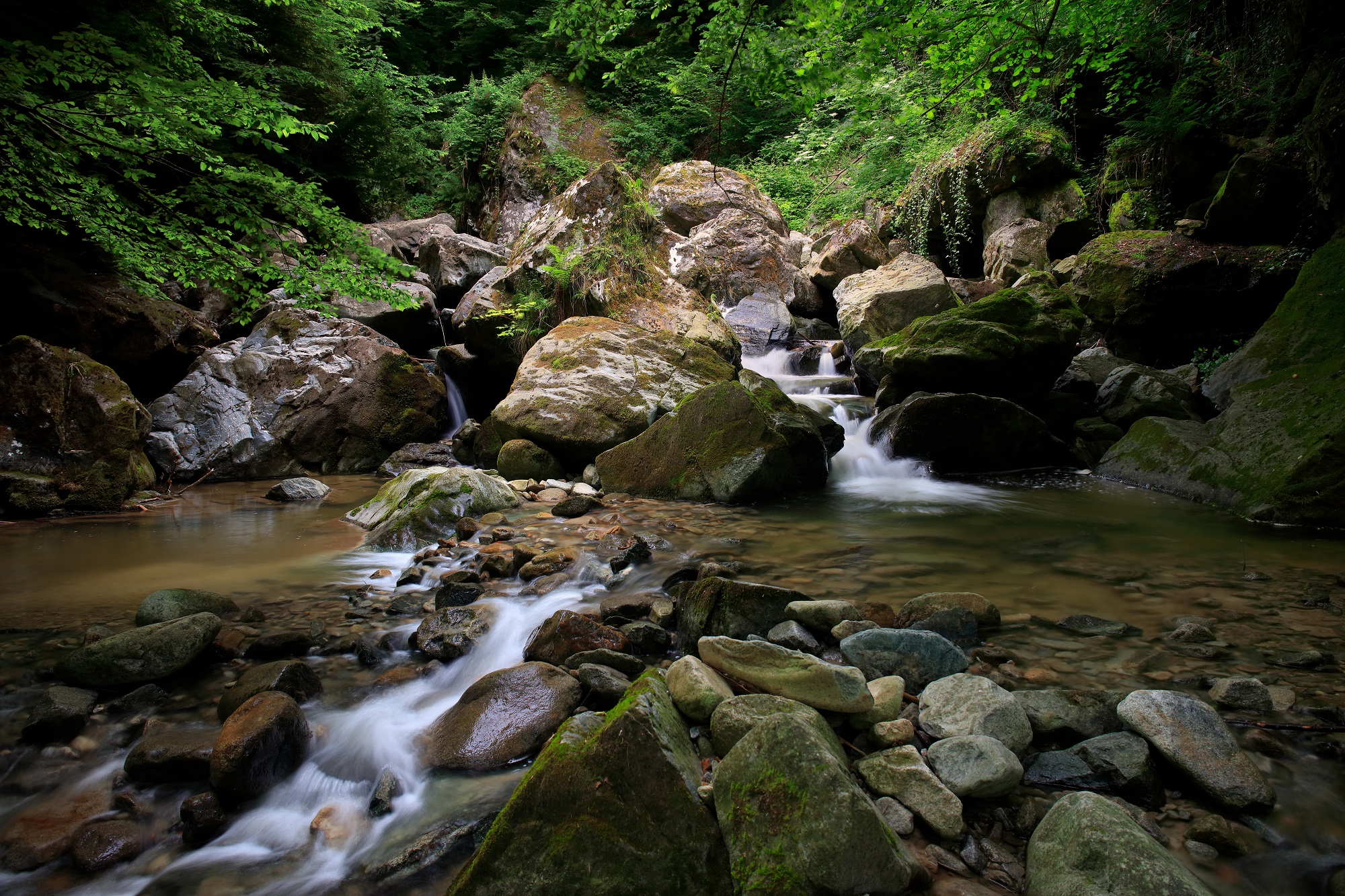 Zeleni indikatorji Turistične destinacije Rogla-Pohorje