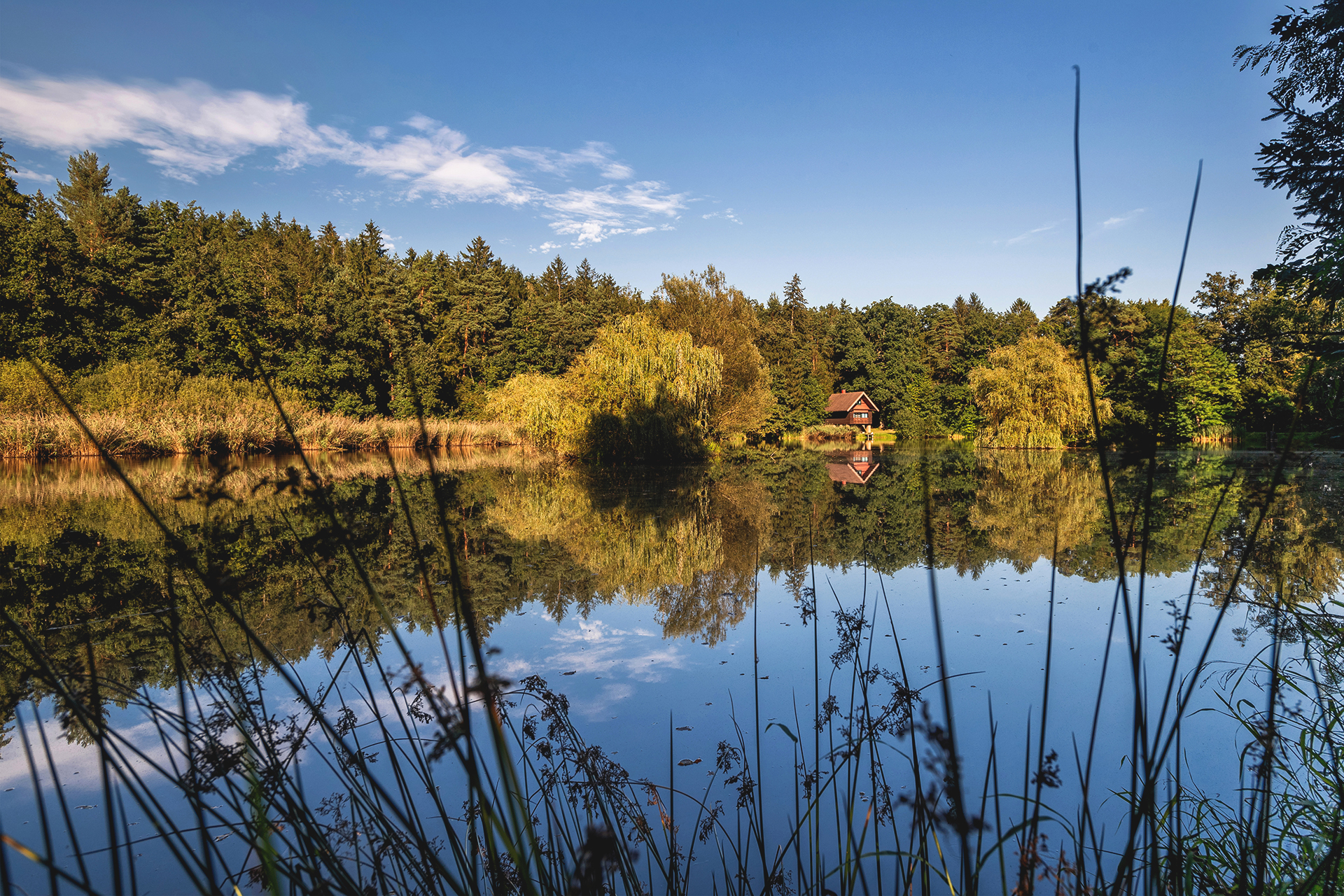 Turistična destinacija Rogla – Pohorje uspešna na razpisih