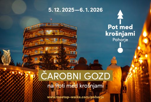 Čarobni gozd med krošnjami